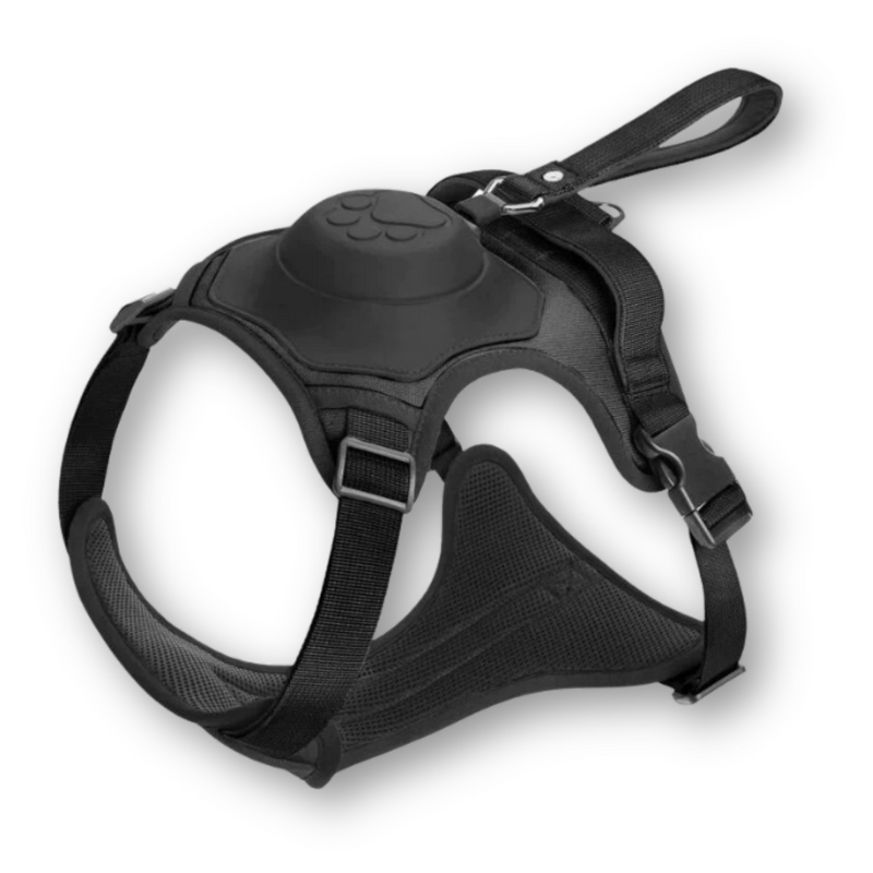 Hundegeschirr | Mit Leine | Teleskopleine | Flexibel | Sicher | Langlebig | Robust-Schwarz-M - (5-13 Kg)-Luzern Mode