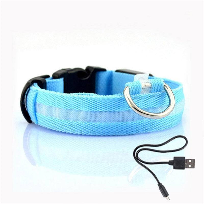 Hundehalsband | LED | USB aufladbar | Sichtbar | Sicher | Langlebig | Komfortabel-Blau-XS-Luzern Mode