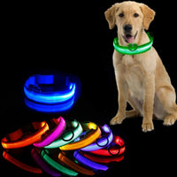 Hundehalsband | LED | USB aufladbar | Sichtbar | Sicher | Langlebig | Komfortabel-Gelb-XS-Luzern Mode