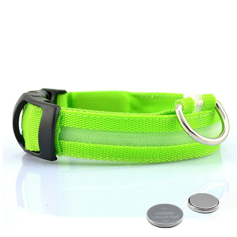 Hundehalsband | LED | USB aufladbar | Sichtbar | Sicher | Langlebig | Komfortabel-Grün-XS-Luzern Mode