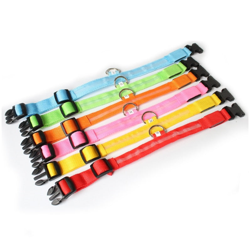 Hundehalsband | LED | USB aufladbar | Sichtbar | Sicher | Langlebig | Komfortabel-Rosa-XS-Luzern Mode