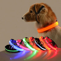 Hundehalsband | LED | USB aufladbar | Sichtbar | Sicher | Langlebig | Komfortabel-Rot-XS-Luzern Mode