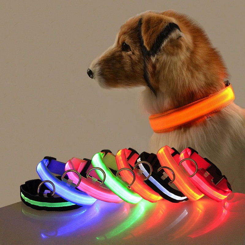 Hundehalsband | LED | USB aufladbar | Sichtbar | Sicher | Langlebig | Komfortabel-Rot-XS-Luzern Mode