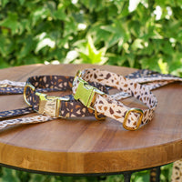 Hundehalsband | Terrazzo-Muster | Goldfarben | Schnalle | Verstellbar-Luzern Mode