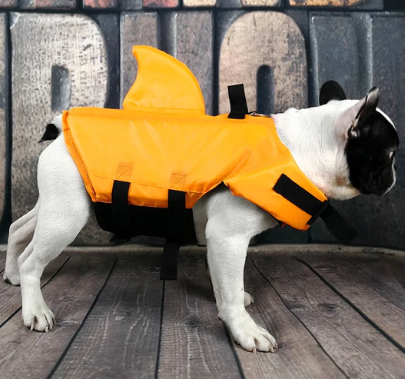 Hundeschwimmweste | Auffällig Sicher Leuchtend Komfortabel Langlebig-Luzern Mode