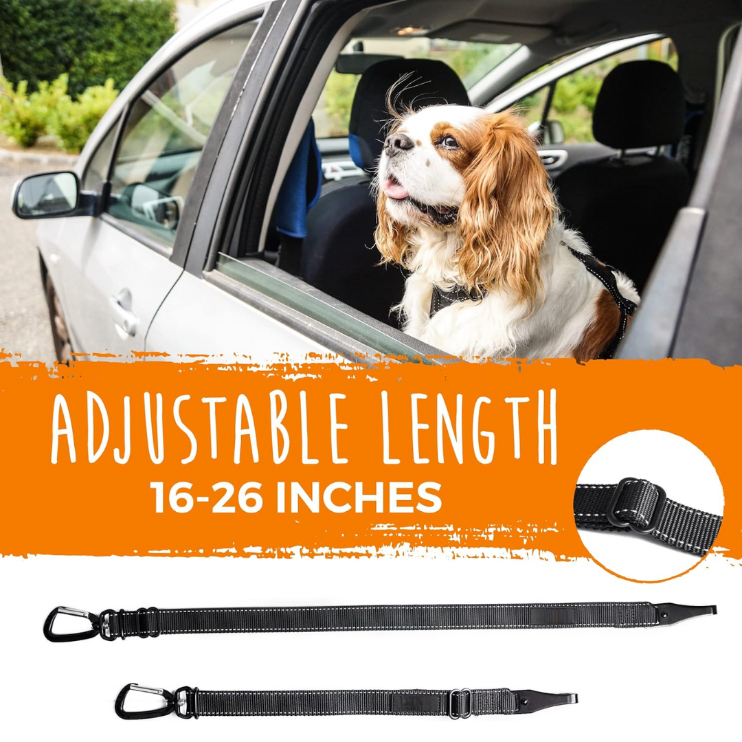 Hundesicherheitsgurt | Sicher Robust Langlebig Zuverlässig Verstellbar-Luzern Mode
