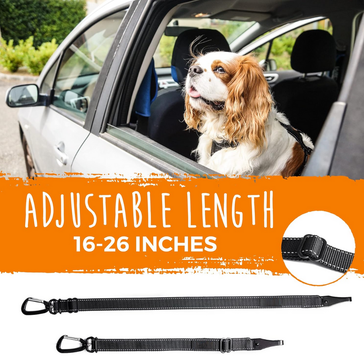 Hundesicherheitsgurt | Sicher Robust Langlebig Zuverlässig Verstellbar-Luzern Mode
