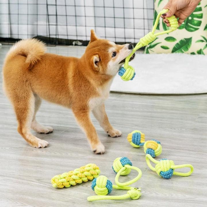Hundespielzeug | Seil Ziehen Zahnpflege Langlebig Interaktiv-Luzern Mode