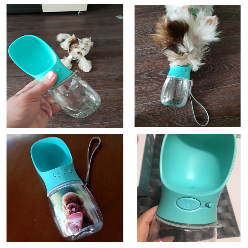 Hundetrinkflasche | Praktisch | Auslaufsicher | Schlank | Unterwegs mit Trinkschale | Kompakt-Luzern Mode