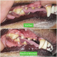 Hundezahnbürste | Langlebig Hygiene Pflege Natürlich Kauen-Luzern Mode