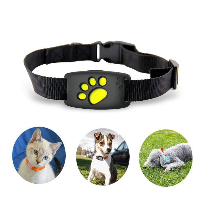 Haustier GPS Halsband | Verstellbar | Wasserdicht | Stoßfest-Schwarz-Luzern Mode