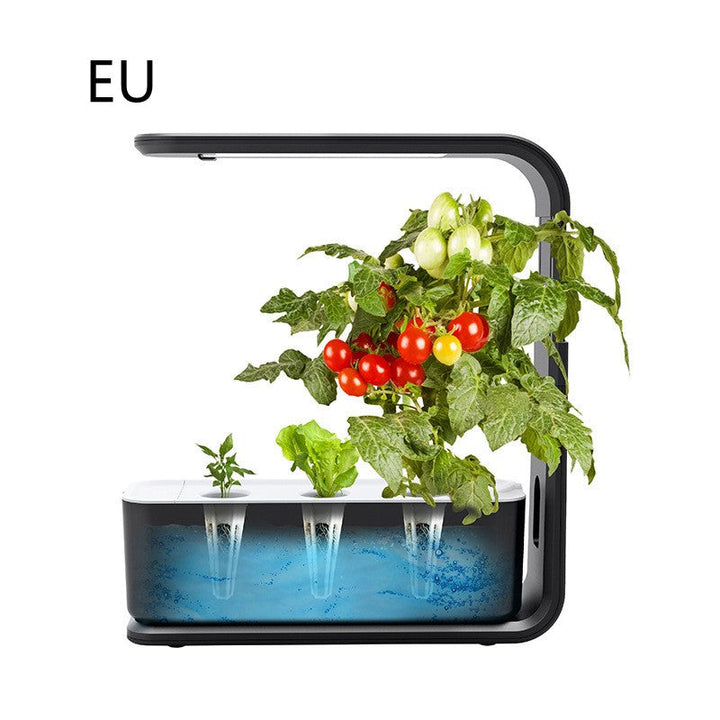 Hydroponisches Pflanzensystem | Indoor-Garten | Nachhaltig | Sauber | Smart | Optimales Wachstum-Luzern Mode