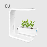 Hydroponisches Pflanzensystem | Indoor-Garten | Nachhaltig | Sauber | Smart | Optimales Wachstum-Luzern Mode