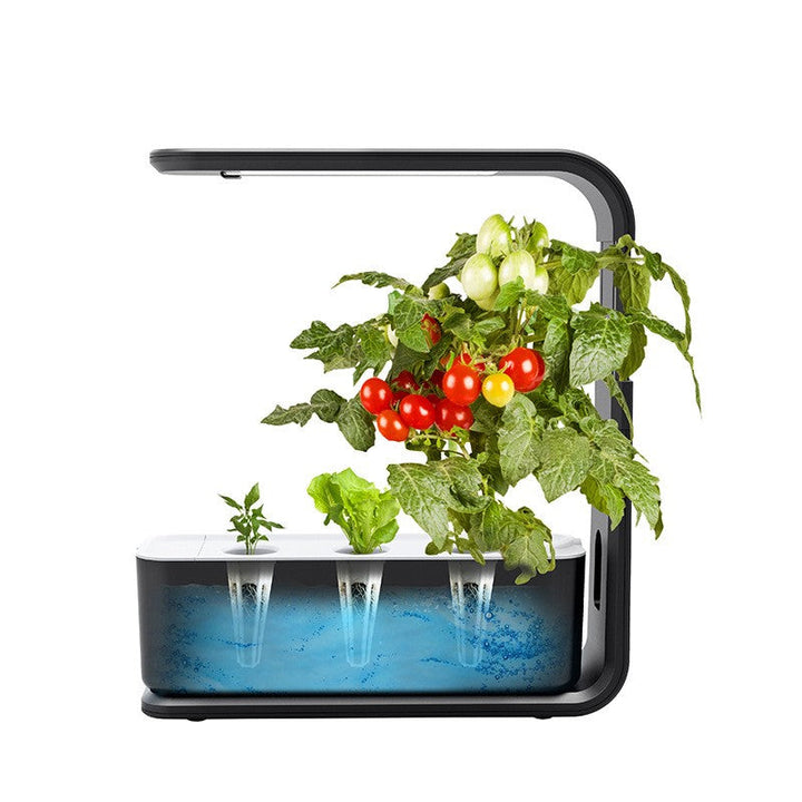 Hydroponisches Pflanzensystem | Indoor-Garten | Nachhaltig | Sauber | Smart | Optimales Wachstum-Luzern Mode
