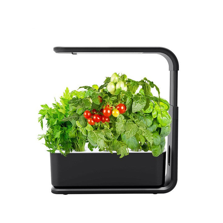 Hydroponisches Pflanzensystem | Indoor-Garten | Nachhaltig | Sauber | Smart | Optimales Wachstum-Luzern Mode