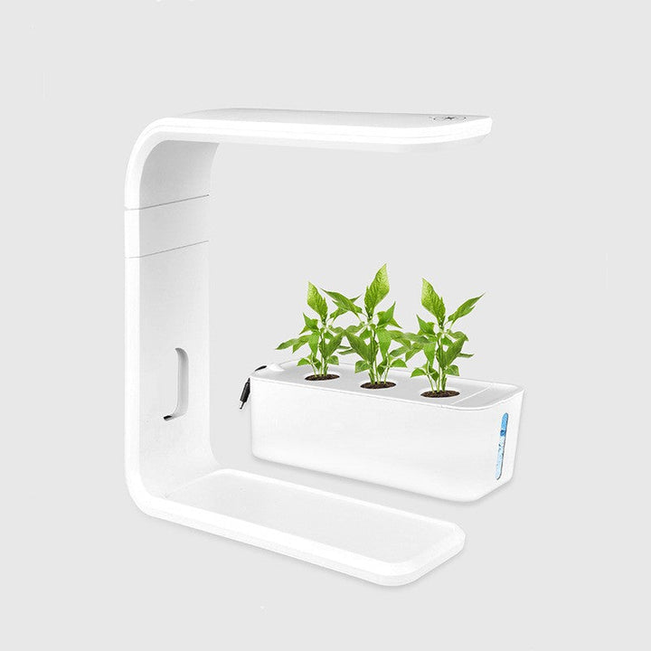 Hydroponisches Pflanzensystem | Indoor-Garten | Nachhaltig | Sauber | Smart | Optimales Wachstum-Weiß-Luzern Mode