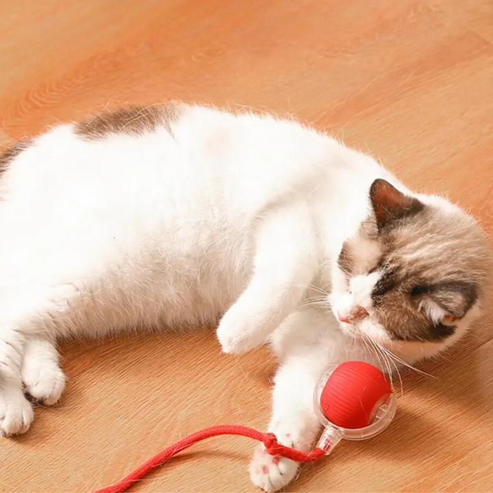 Katzenspielball | Interaktiv Jagen Langlebig Unterhaltsam Stimulierend-Luzern Mode