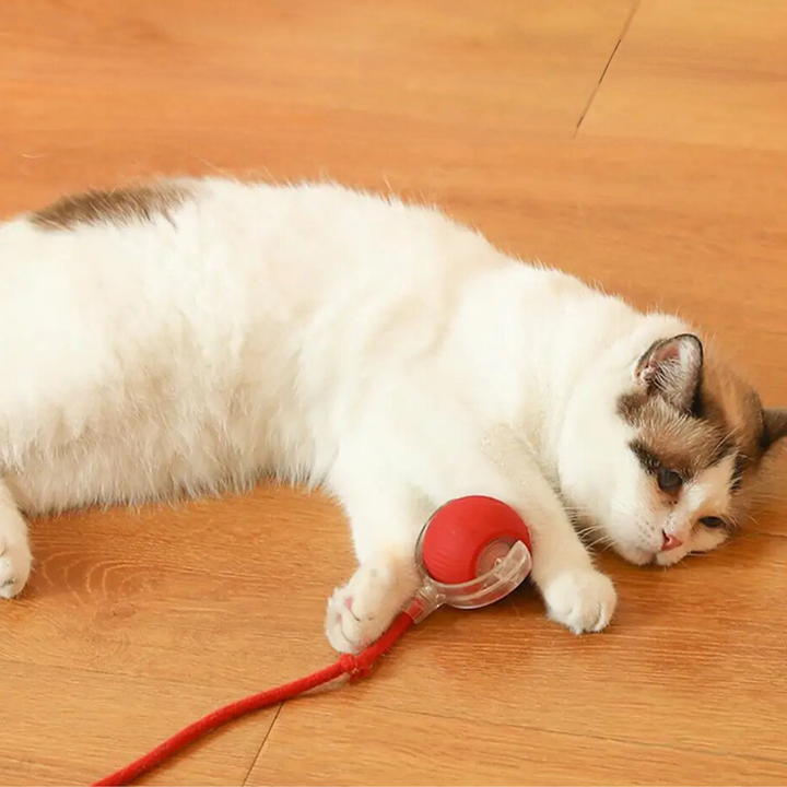 Katzenspielball | Interaktiv Jagen Langlebig Unterhaltsam Stimulierend-Luzern Mode