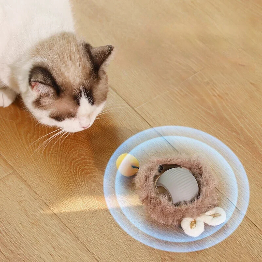 Katzenspielball | Interaktiv Jagen Langlebig Unterhaltsam Stimulierend-Luzern Mode