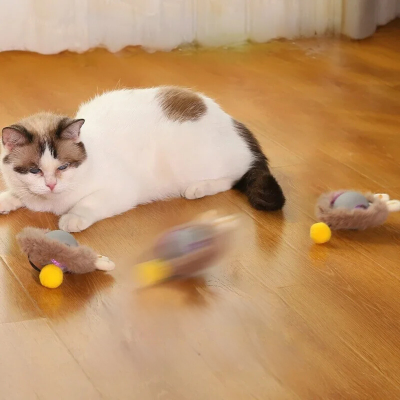 Katzenspielball | Interaktiv Jagen Langlebig Unterhaltsam Stimulierend-Luzern Mode