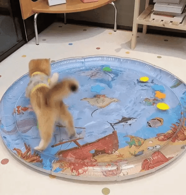 Katzenspielmatte | Interaktiv | Langlebig | Unterhaltsam | Sicher | Anti-Stress-Luzern Mode