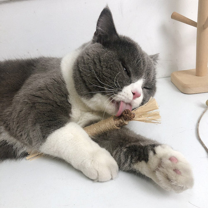 Katzen Kauspielzeug | Interaktiv | Langlebig | Zahnpflege | Natürlich-Luzern Mode