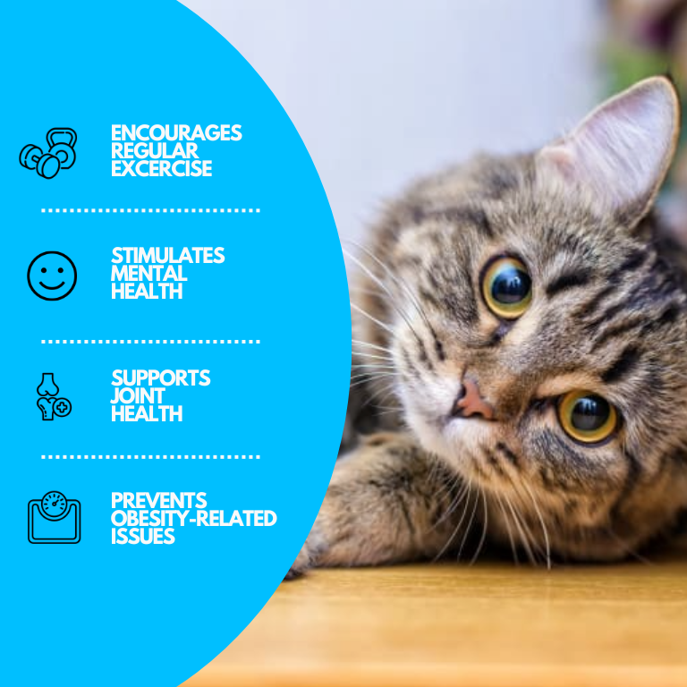 Katzen-Wassermatte | Langlebig Interaktiv Kühlend Sicherer Spaß-Luzern Mode