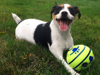 Hunde-Spielball | Interaktiv Geräusche Bewegend Spielen Langlebig Vielseitig-Luzern Mode
