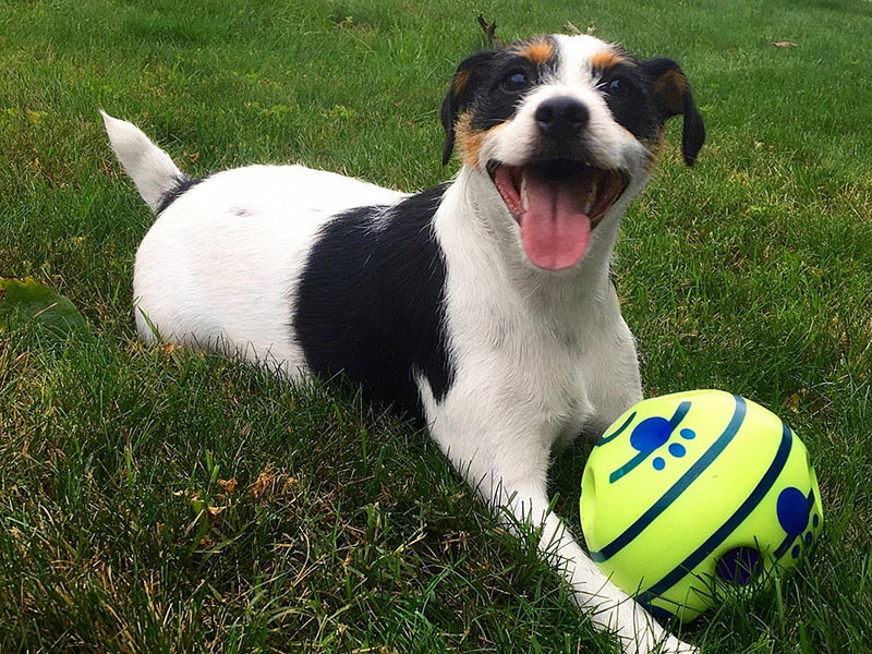 Hunde-Spielball | Interaktiv Geräusche Bewegend Spielen Langlebig Vielseitig-Luzern Mode