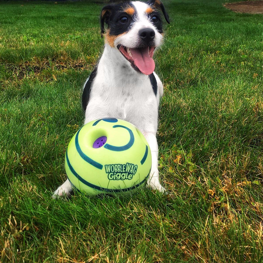 Hunde-Spielball | Interaktiv Geräusche Bewegend Spielen Langlebig Vielseitig-Luzern Mode