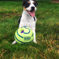 Hunde-Spielball | Interaktiv Geräusche Bewegend Spielen Langlebig Vielseitig-Luzern Mode