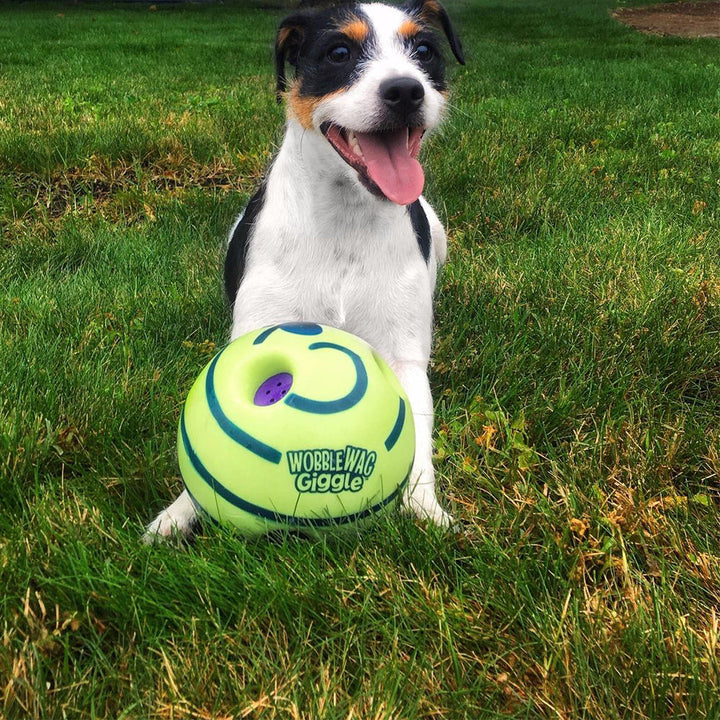 Hunde-Spielball | Interaktiv Geräusche Bewegend Spielen Langlebig Vielseitig-Luzern Mode