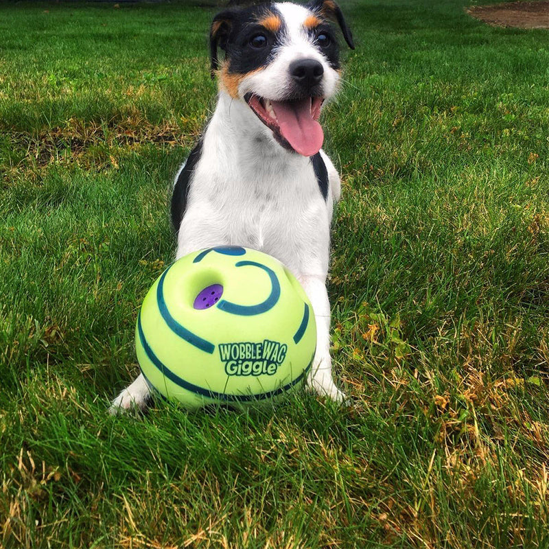 Hunde-Spielball | Interaktiv Geräusche Bewegend Spielen Langlebig Vielseitig-Luzern Mode
