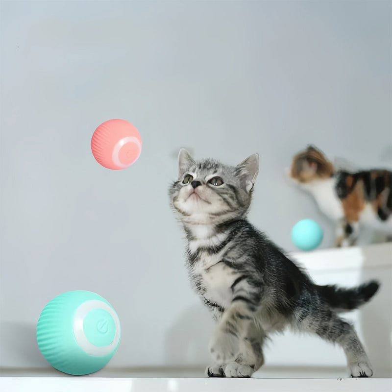 Katzenspielzeug | Interaktiv | Beweglich | Leuchtend | Einstellbar-Luzern Mode