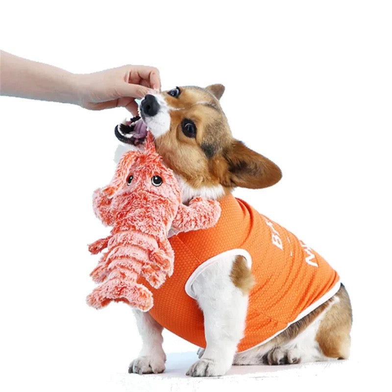Hundespielzeug | Interaktiv Krebs Langlebig Unterhaltung Sicher Robust-Luzern Mode