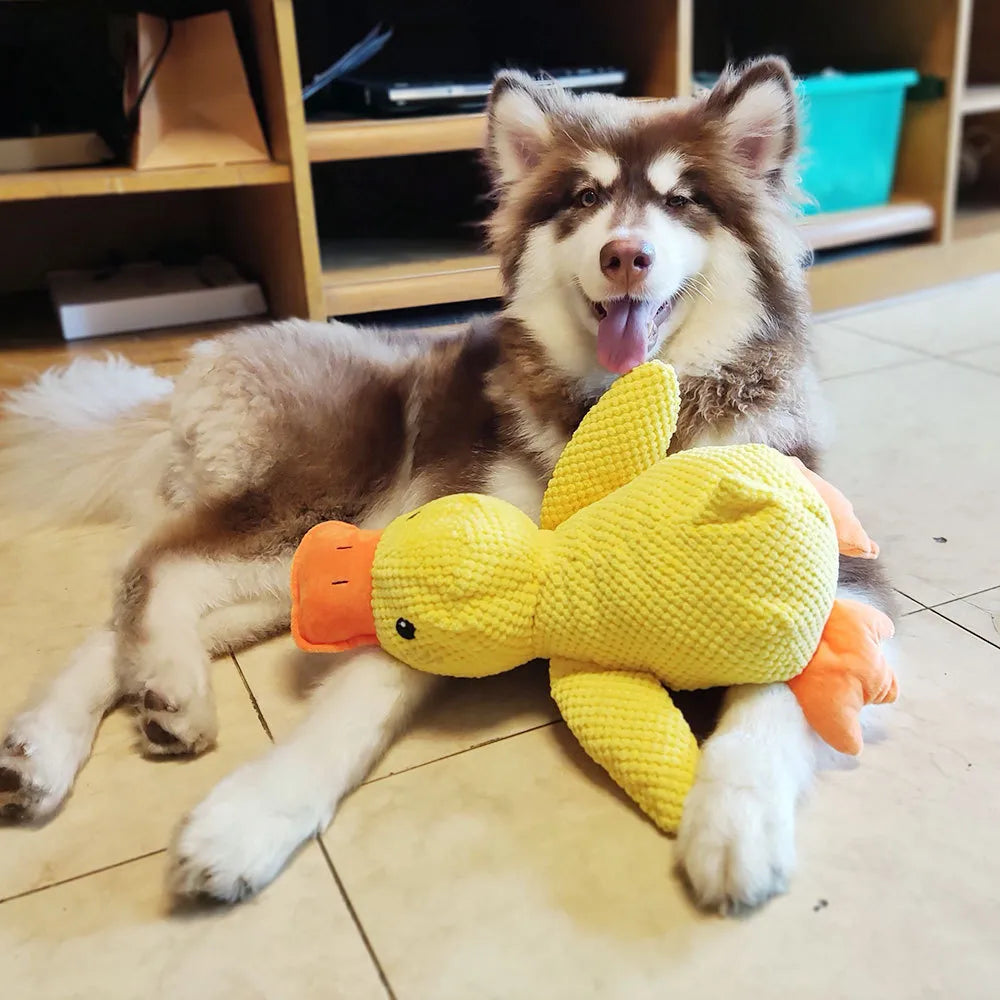 Hundespielzeug | Reinigend Interaktiv Geräusch Ente Gelb Langlebig Robust-Luzern Mode