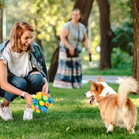 Interaktives Hundespielzeug | Schnüffeln Langlebig Fleece Stimulierend-Luzern Mode