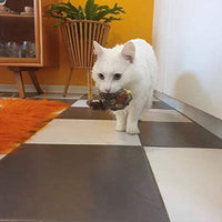 Katzenspielzeug | Interaktiv Langlebig Realistisch Mit Federn Vielseitig-Luzern Mode