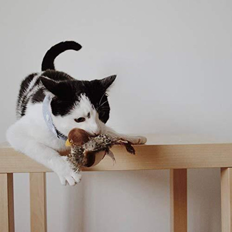 Katzenspielzeug | Interaktiv Langlebig Realistisch Mit Federn Vielseitig-Luzern Mode