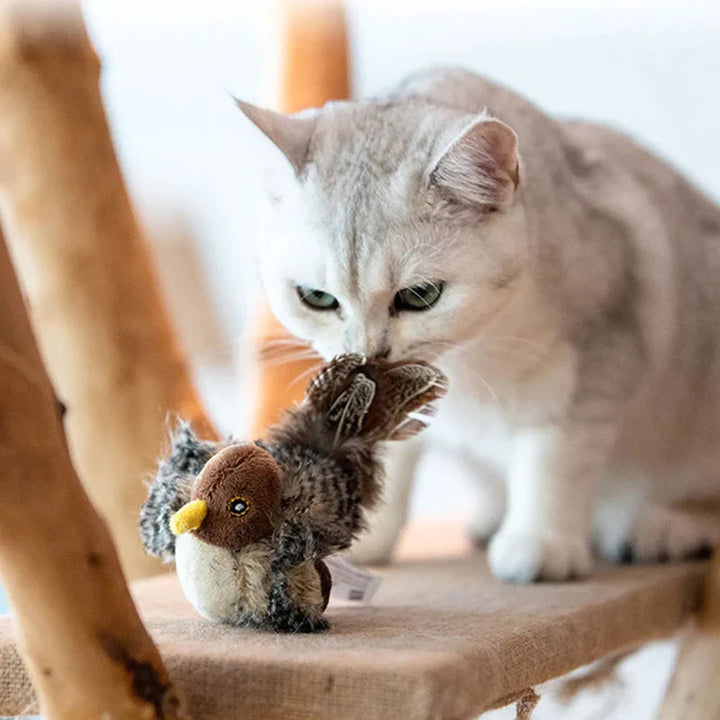 Katzenspielzeug | Interaktiv Langlebig Realistisch Mit Federn Vielseitig-Luzern Mode