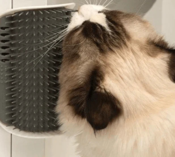 Katzenbürste | Ecke Selbstpflege Komfortabel Massage Beruhigend-Luzern Mode