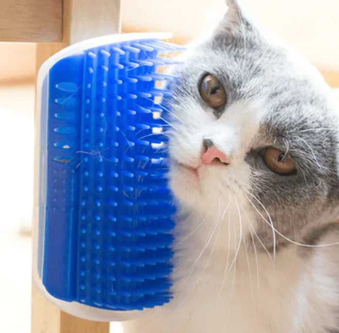 Katzenbürste | Ecke Selbstpflege Komfortabel Massage Beruhigend-Luzern Mode