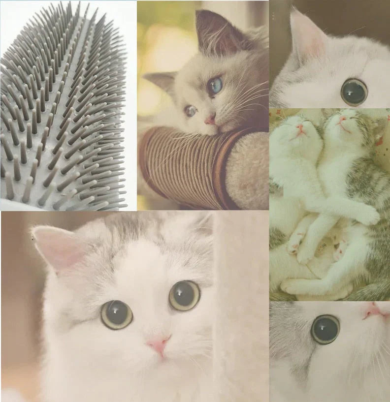Katzenbürste | Ecke Selbstpflege Komfortabel Massage Beruhigend-Luzern Mode
