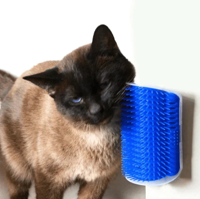 Katzenbürste | Ecke Selbstpflege Komfortabel Massage Beruhigend-Blau-9x13cm-Luzern Mode