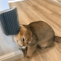 Katzenbürste | Ecke Selbstpflege Komfortabel Massage Beruhigend-Grau-9x13cm-Luzern Mode