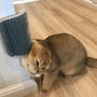 Katzenbürste | Ecke Selbstpflege Komfortabel Massage Beruhigend-Grau-9x13cm-Luzern Mode