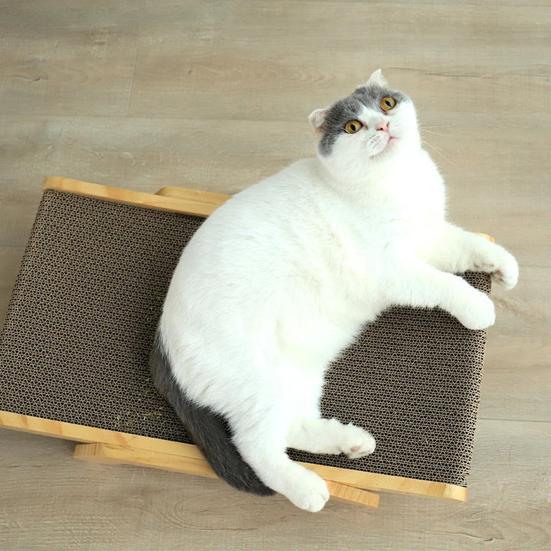 Katzen Kratzbett | Nachhaltig Komfortabel Stilvoll Luxus Weich Sicher-Luzern Mode
