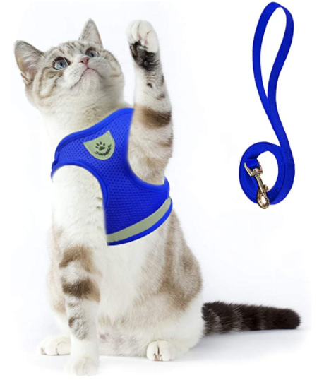 Katzengeschirr | Mit Leine Nachhaltig Atmungsaktiv Komfortabel Langlebig Robust-Blau-S-Luzern Mode