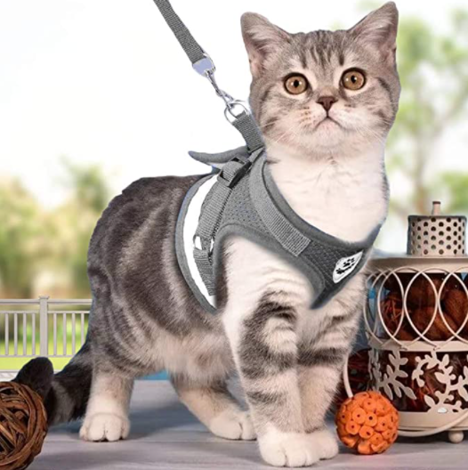 Katzengeschirr | Mit Leine Nachhaltig Atmungsaktiv Komfortabel Langlebig Robust-Grau-S-Luzern Mode