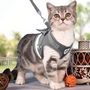 Katzengeschirr | Mit Leine Nachhaltig Atmungsaktiv Komfortabel Langlebig Robust-Grau-S-Luzern Mode